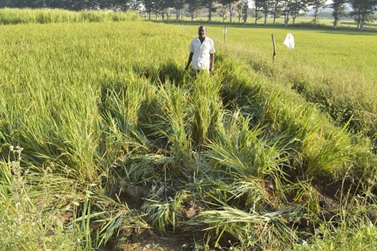 விவசாயத்துக்கு தண்ணீர் திறப்பை அதிகரிக்கக் கோரி விவசாயிகள் முற்றுகை